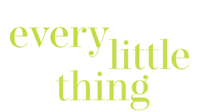 Every Little Thing